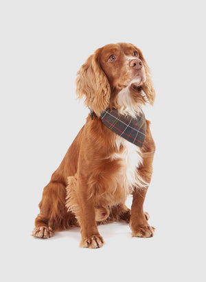 Tartan Bandana - Classic Tartan